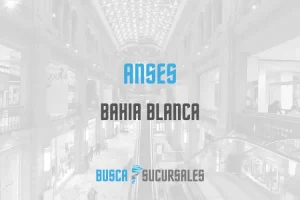 Anses en Bahia Blanca