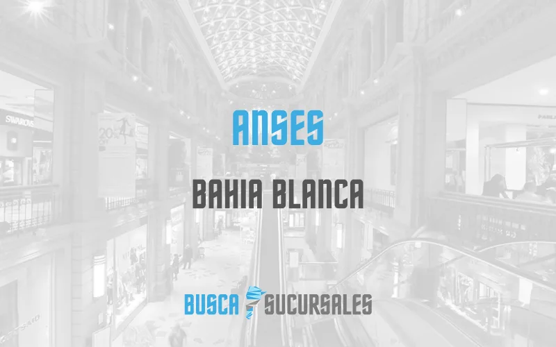 Anses en Bahia Blanca