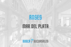 Anses en Mar del Plata