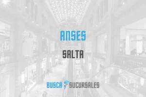 Anses en Salta