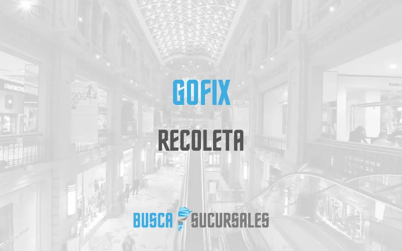 GoFix en Recoleta