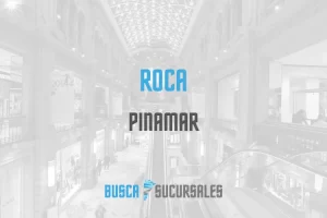 Roca en Pinamar