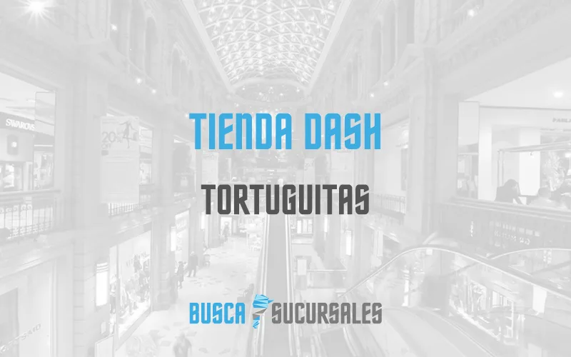 Tienda Dash en Tortuguitas