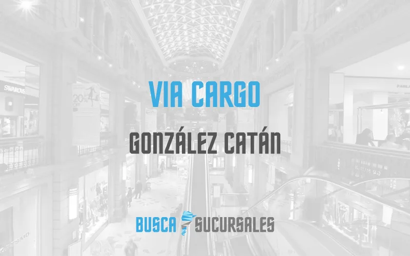 Via Cargo en González Catán