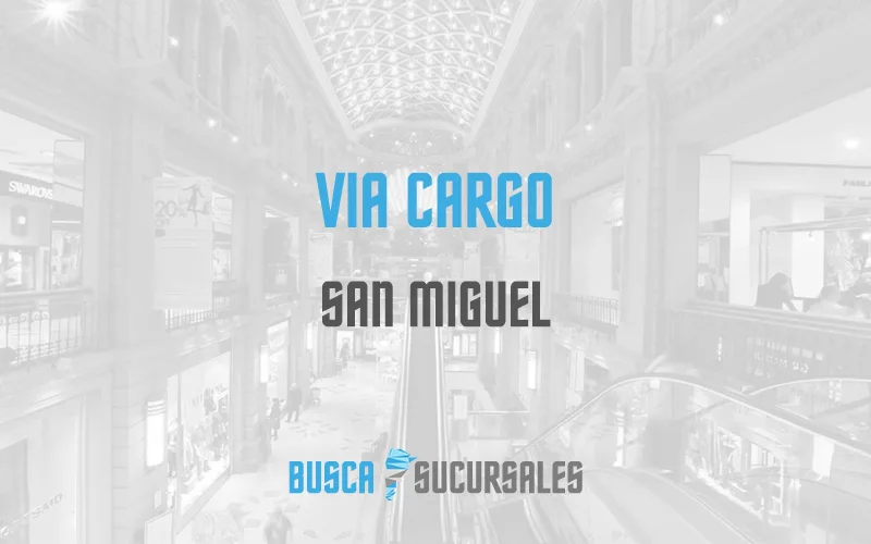 Via Cargo en San Miguel